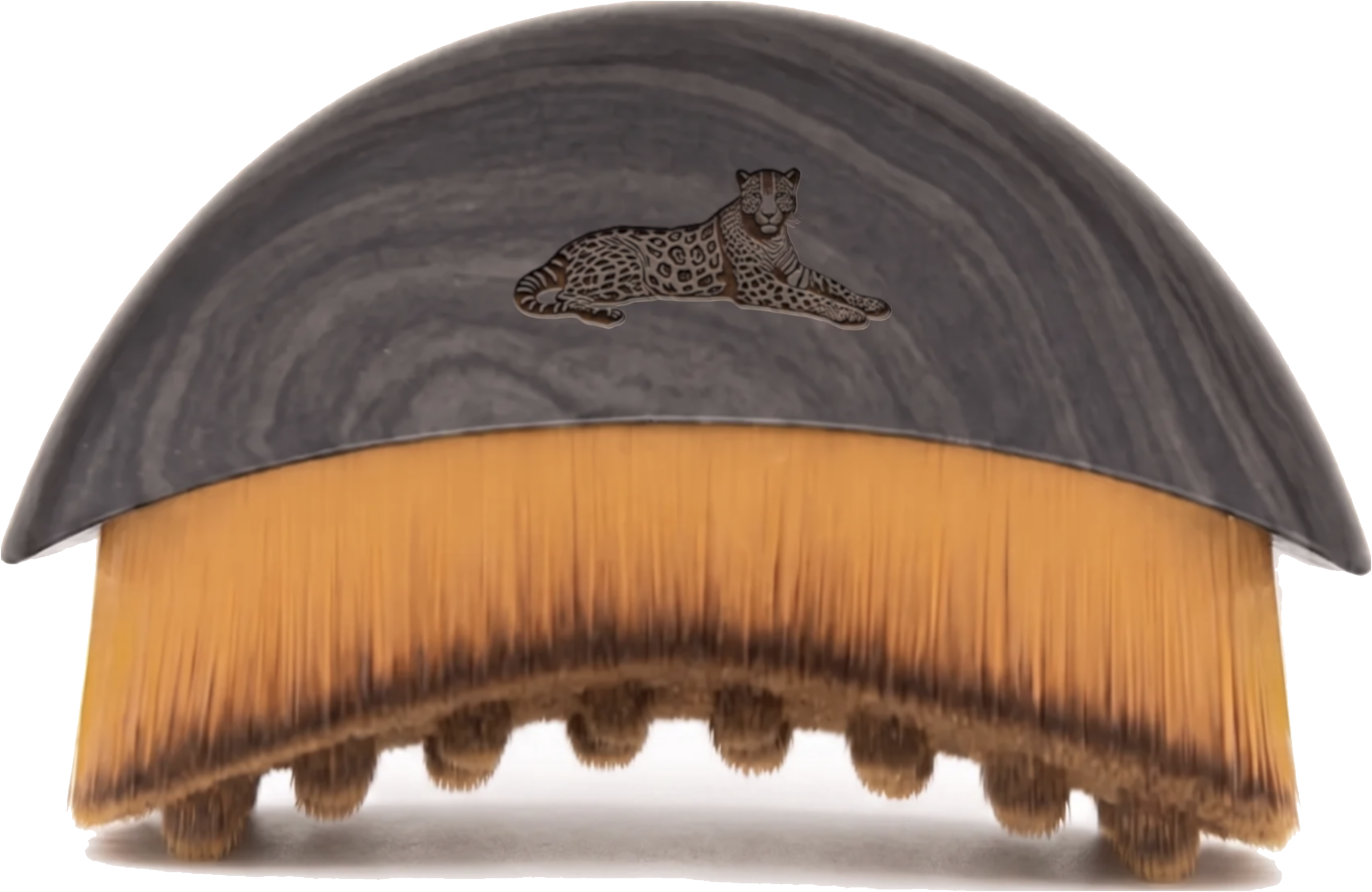 The Dry Brush